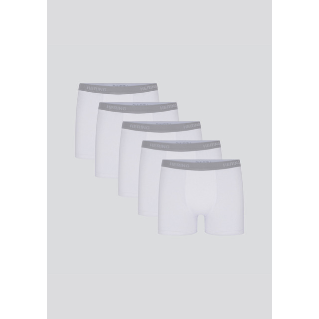 Kit 5 Cuecas Boxer Com Elástico Personalizado Hering