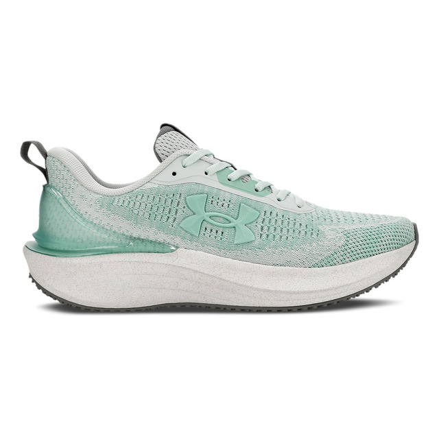 Tênis Masculino E Feminino Charged Skyline 4 Under Armour