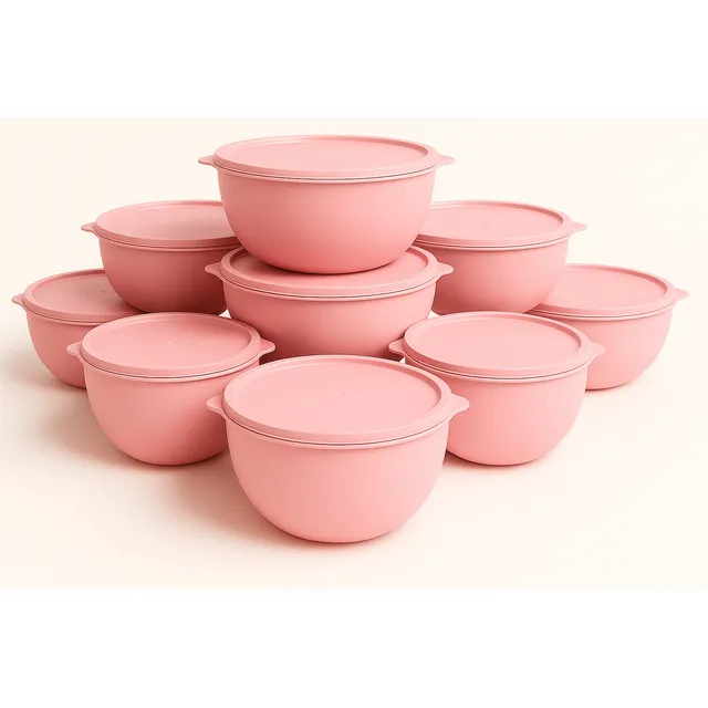 Conjunto 11 Peças Plasticos Multiuso Freezer Microondas